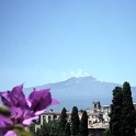 IMG 0382