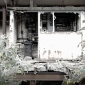 SDIM0082