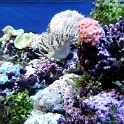 ozean museum01