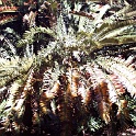 pict0028