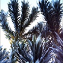 pict0044