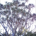 pict0046