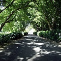 weg zum weingut