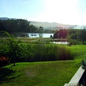 wellington03