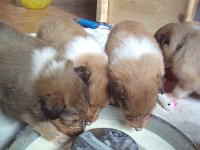 dea 20161103 120547 erste milchmahlzeit