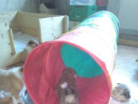 dea 20161108 083544