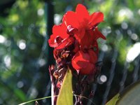 garten07