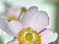 garten09