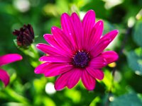 garten10