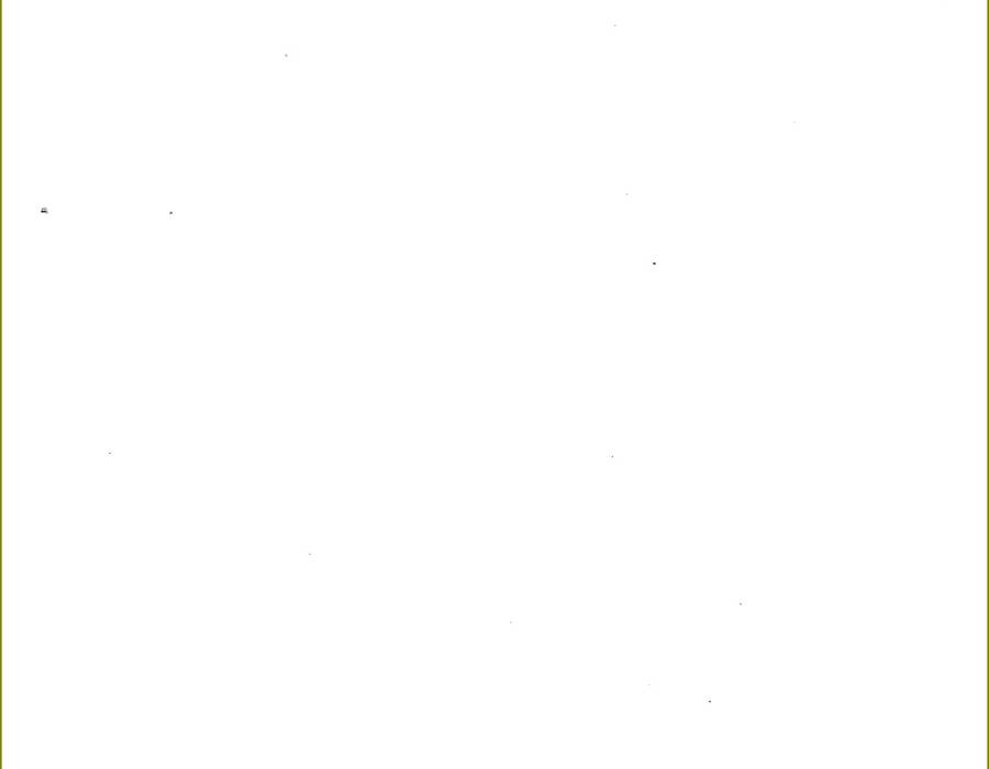 389-t603-wshb.jpg