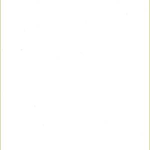 462-t603-wshb.jpg