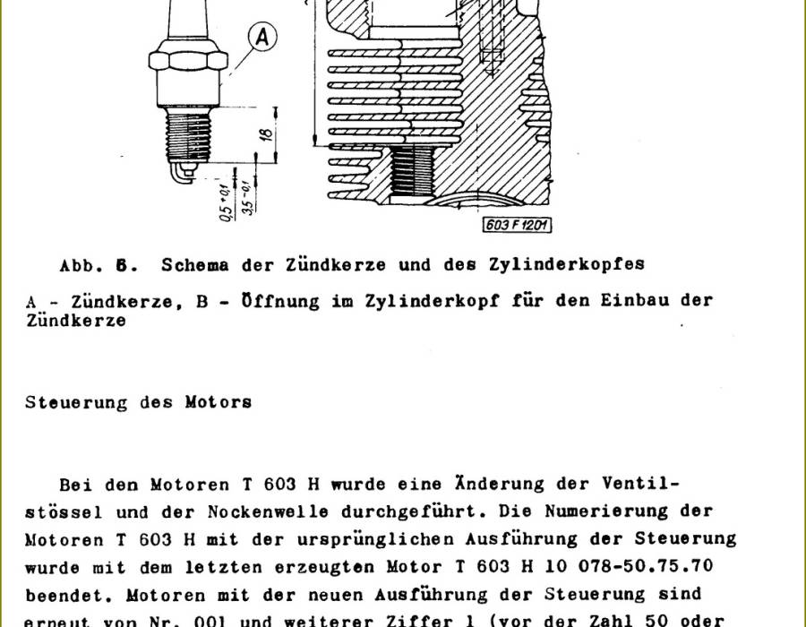 519-t603-wshb.jpg