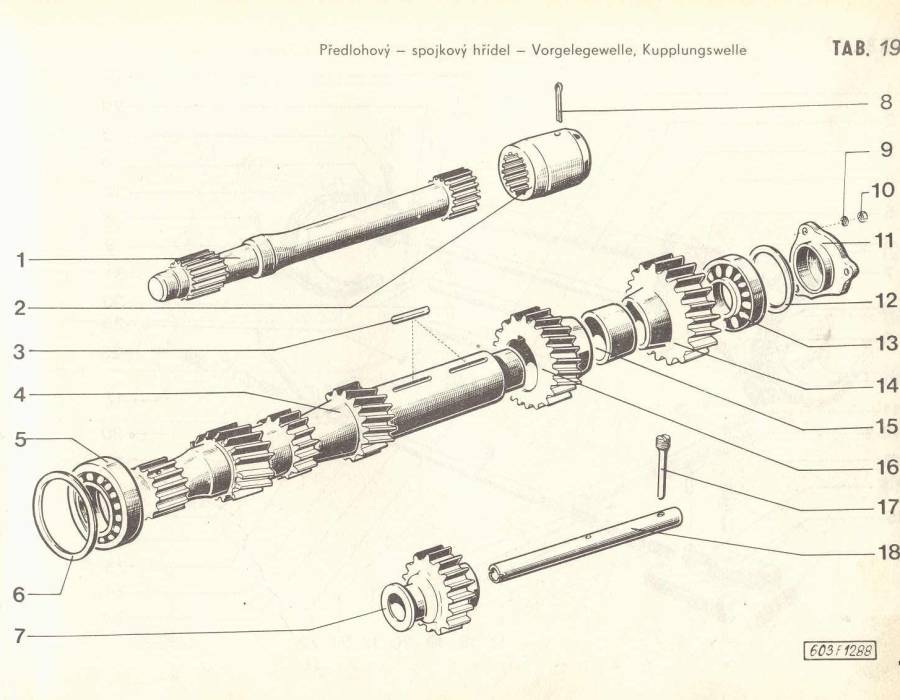 tab-19.jpg