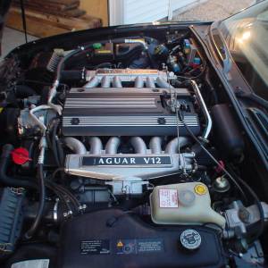 xj81.jpg