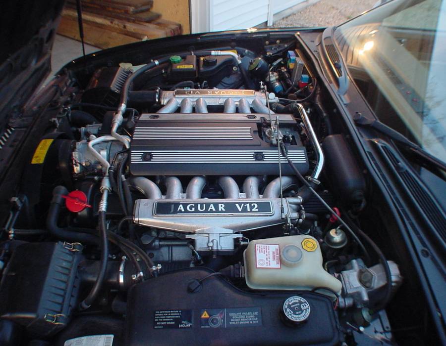 xj81.jpg