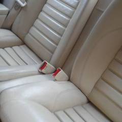 xjs08.jpg