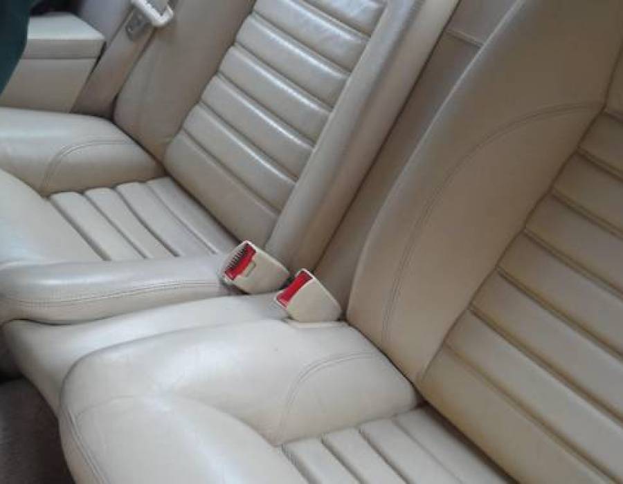 xjs08.jpg