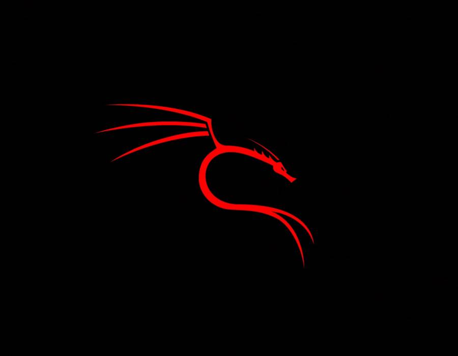 kali-drache.jpg