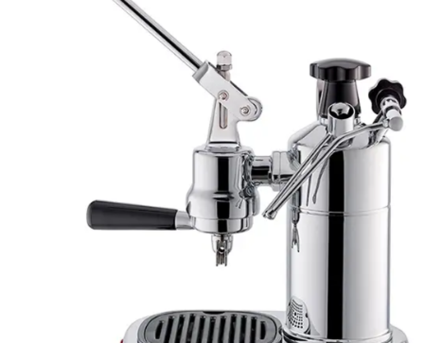 pavoni.png