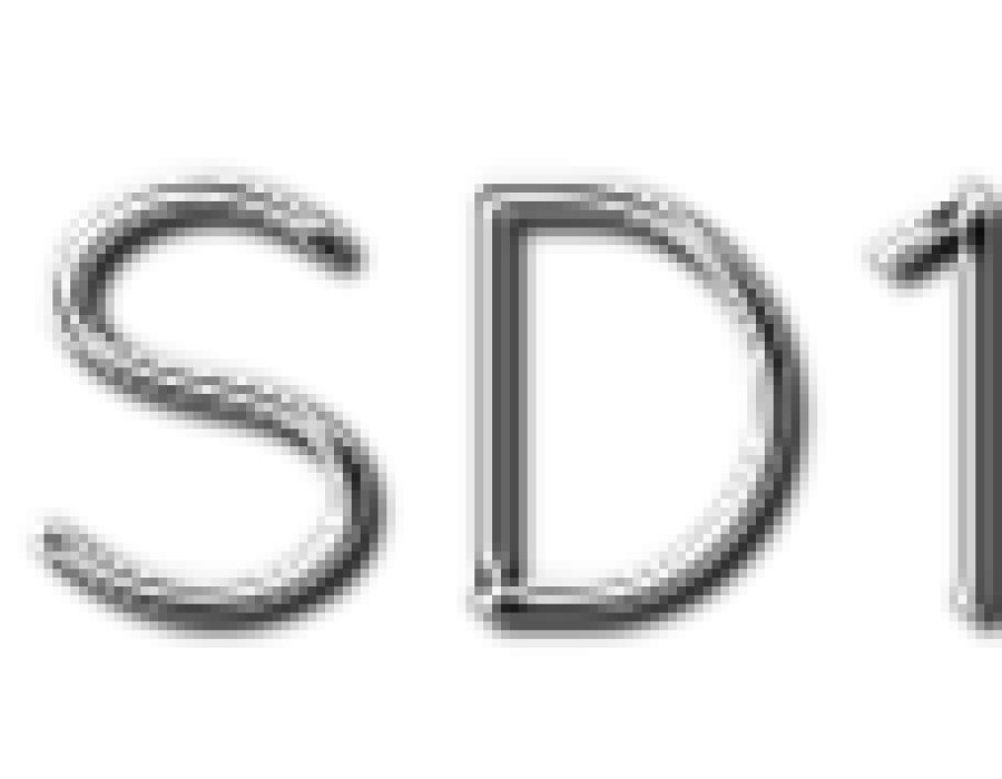 logo-sd1.png